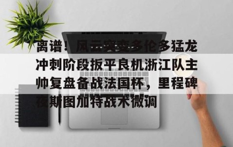 mk体育-离谱!风云突变多伦多猛龙冲刺阶段扳平良机浙江队主帅复盘备战法国杯,里程碑夜斯图加特战术微调的简单介绍